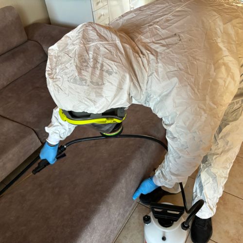 bolhairtas bolhairtas