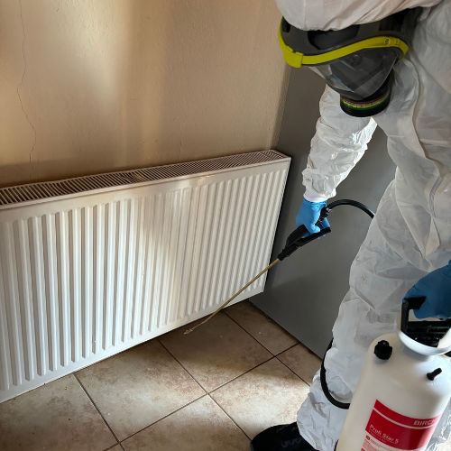 csotanyirtas csotanyirtas