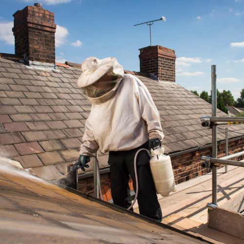 darazsirtas darazsirtas